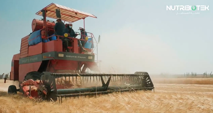  Les 𝐠𝐫𝐚𝐧𝐝𝐞𝐬 𝐜𝐮𝐥𝐭𝐮𝐫𝐞𝐬